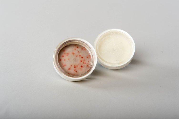 Aquapad bacteria colonies