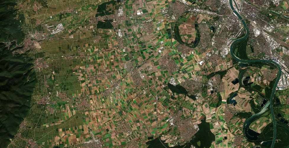 BASF agriculture test site