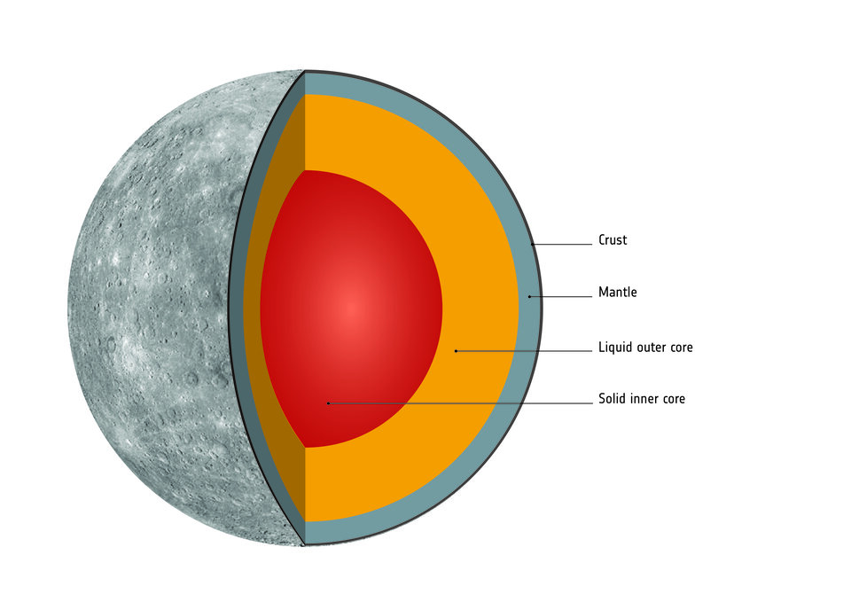 Mercury's interior