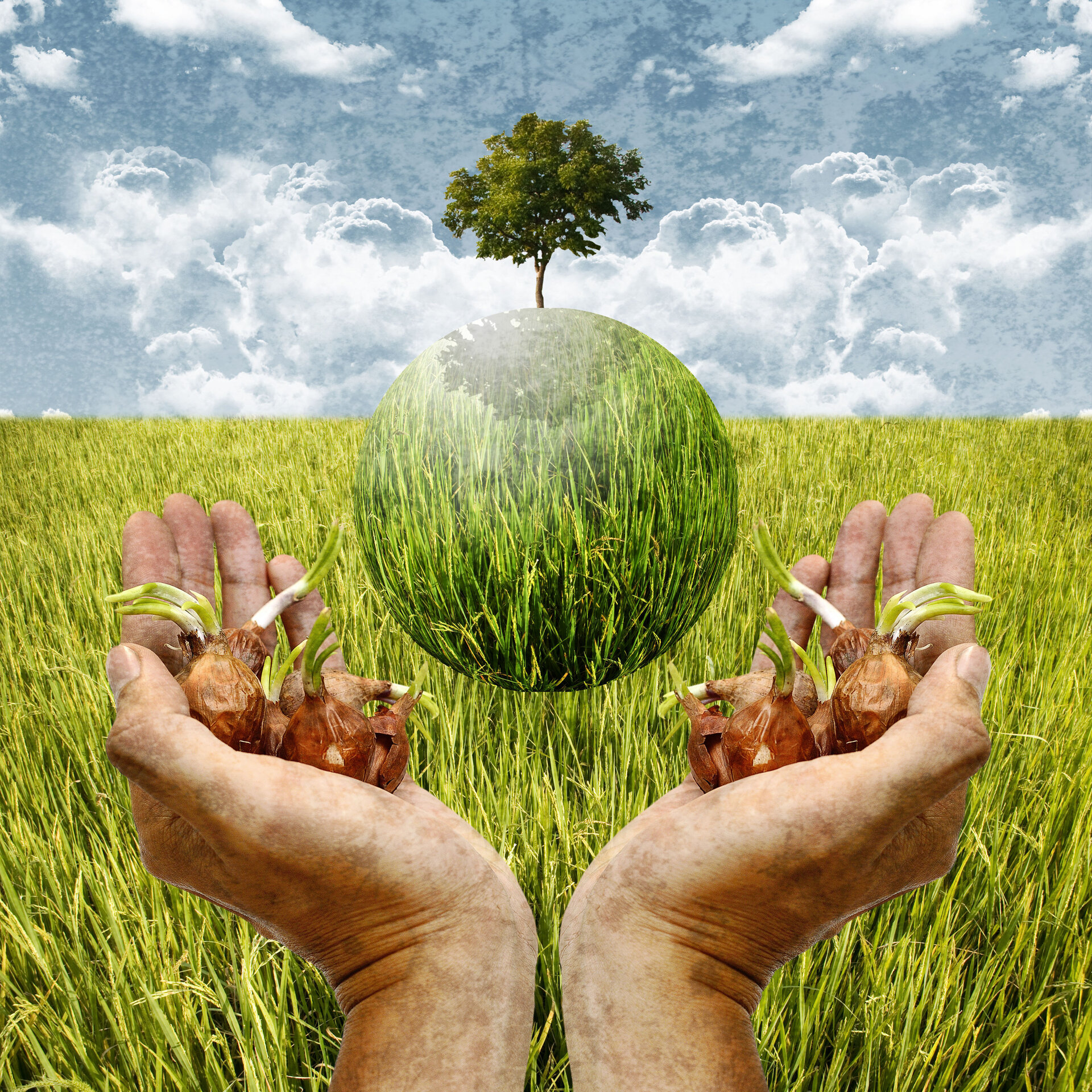 Preserving the environment