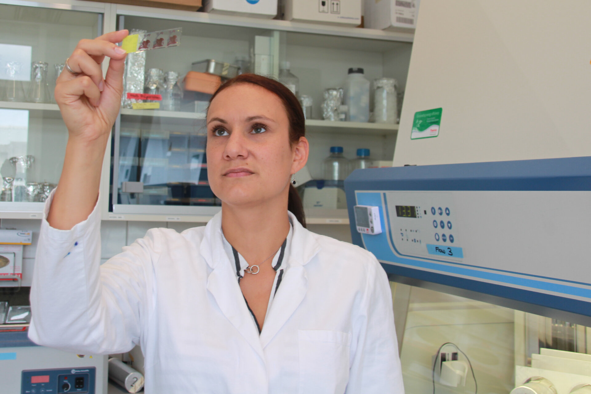 Felicitas Rapp betrachtet einen Objektträger mit gefärbtem Hirngewebe