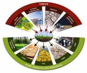 Threats to plants and products