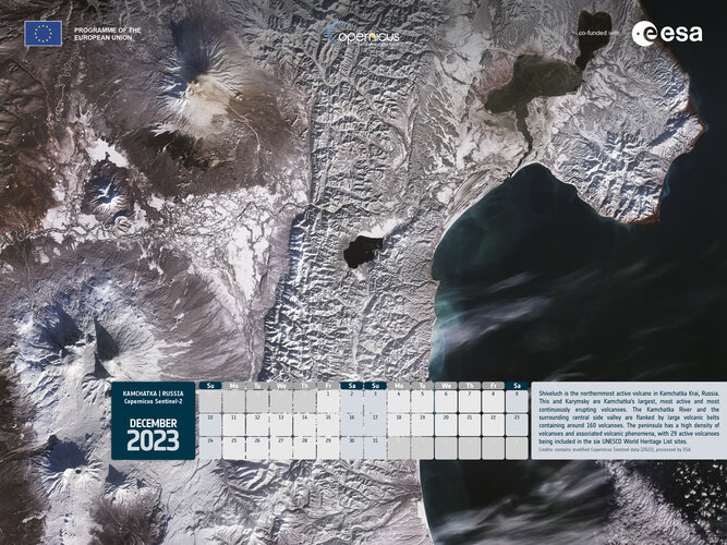 Sentinel calendar icon