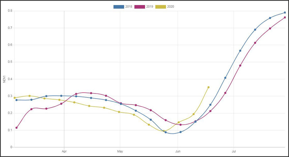 Early rice planting in Sacramento, California, USA