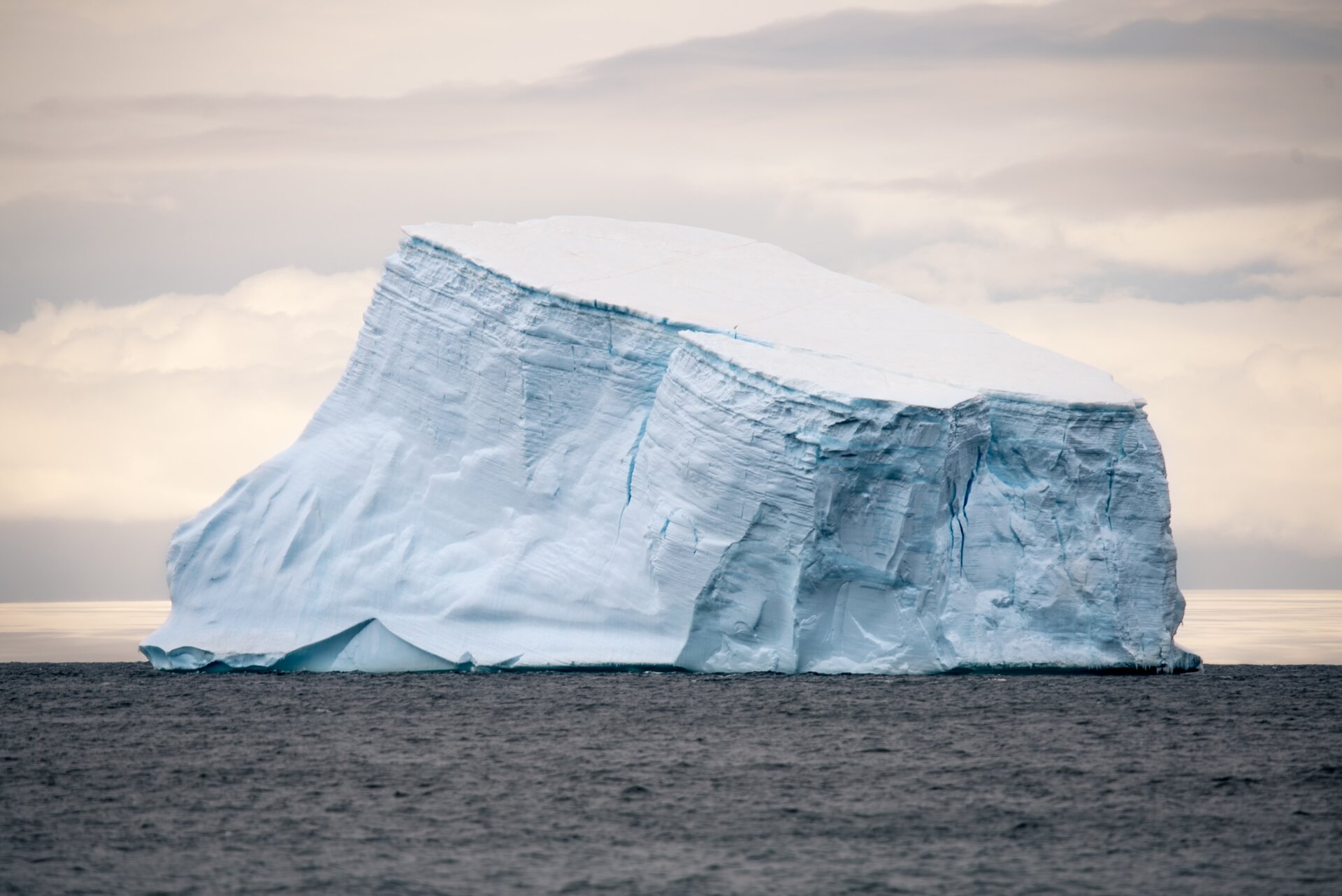Iceberg