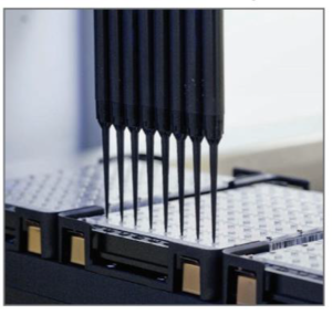 Automated sample loading