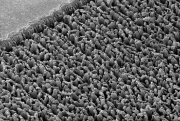 SEM image of a structured sample, 2020