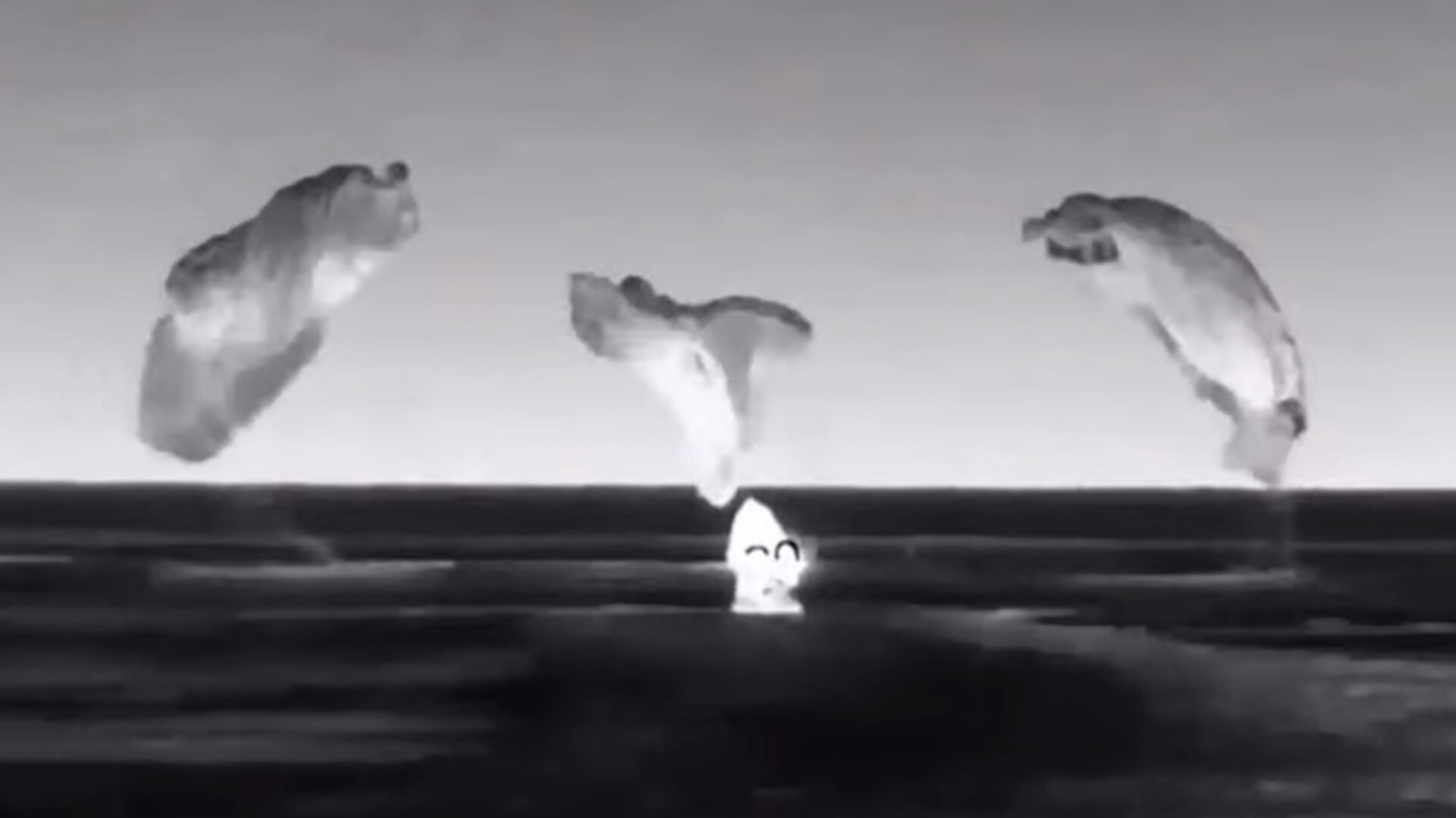 First view of Crew Dragon Endeavour after splashdown