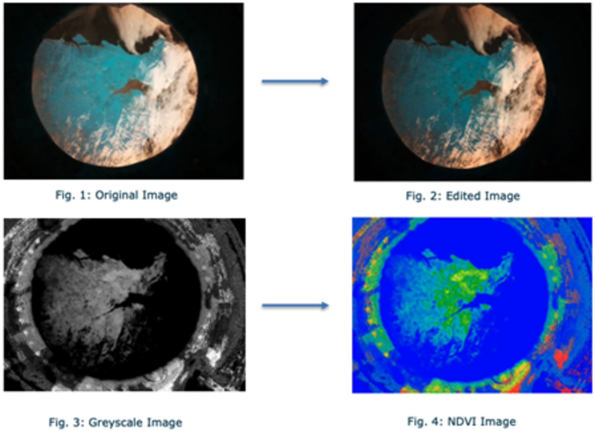 NDVI processing by team DoDuo