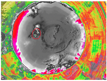 Two seaweed rafts (circled in red) off the coast of Brazil captured by team St Marks