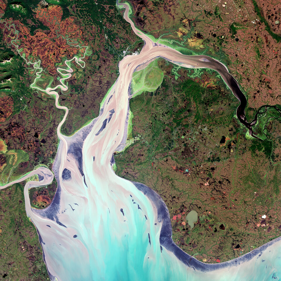 Baia di Nushagak, Alaska 