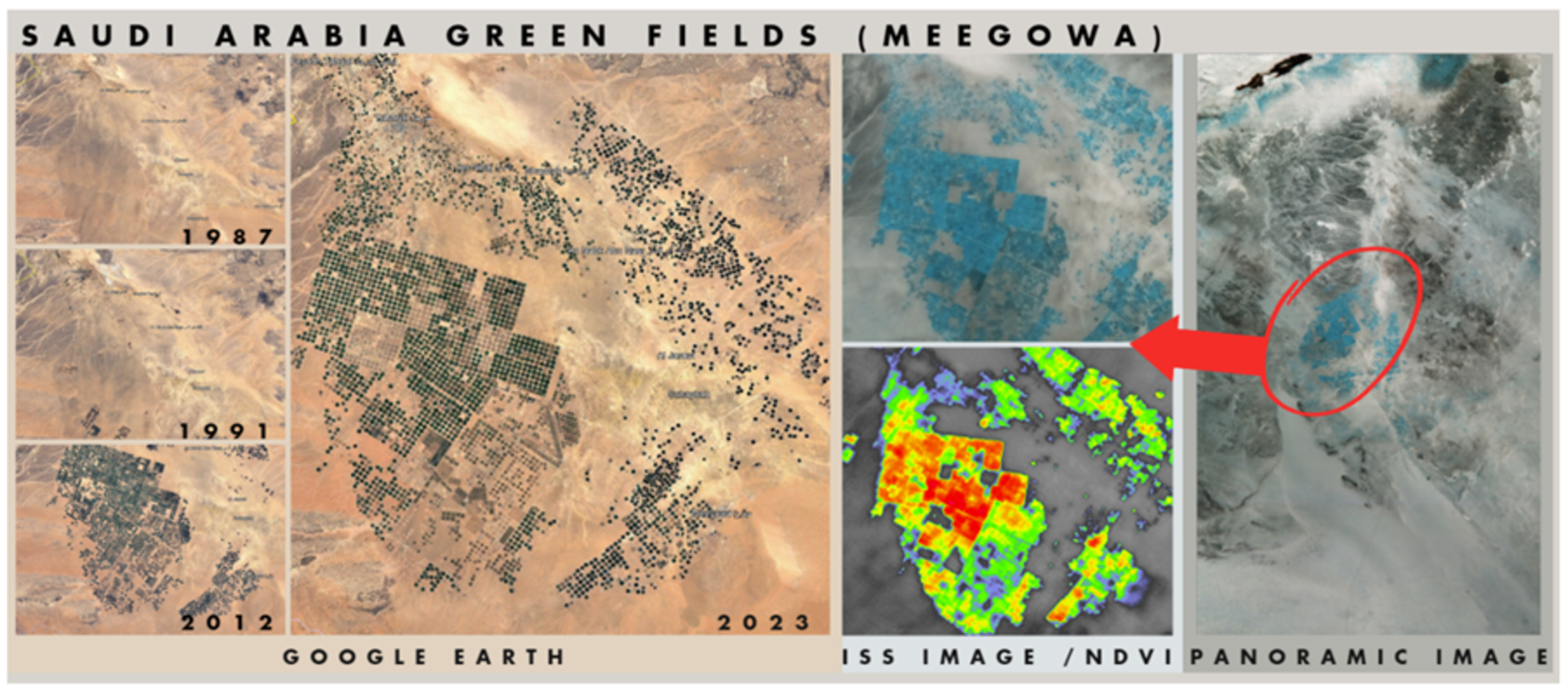 Saudi Arabia Green Fields, image analysed by team Aretusa