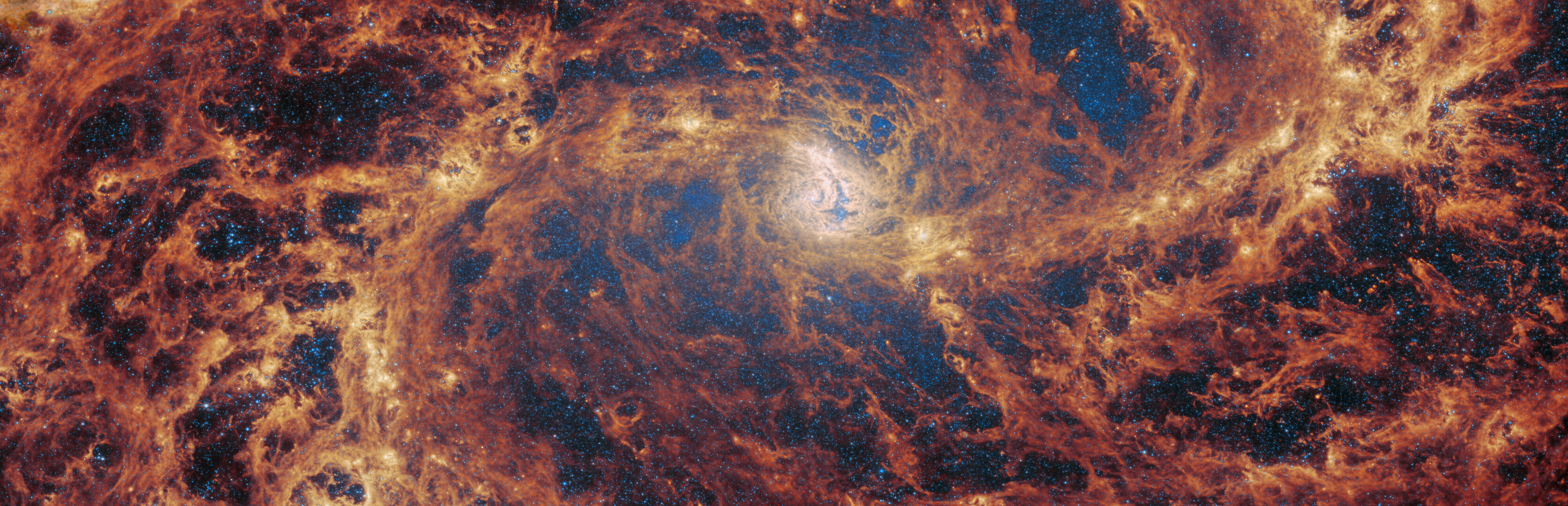 No tricks, just treats