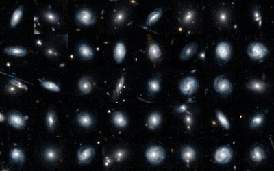 Example of Euclid galaxies in Galaxy Zoo