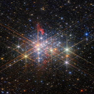 The exotic stellar population of Westerlund 1