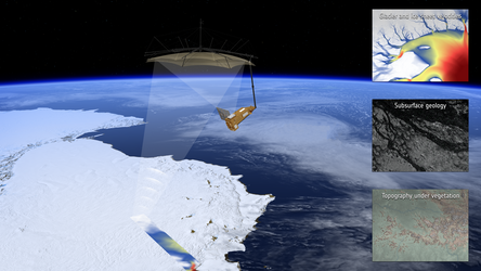 Biomass beyond forests