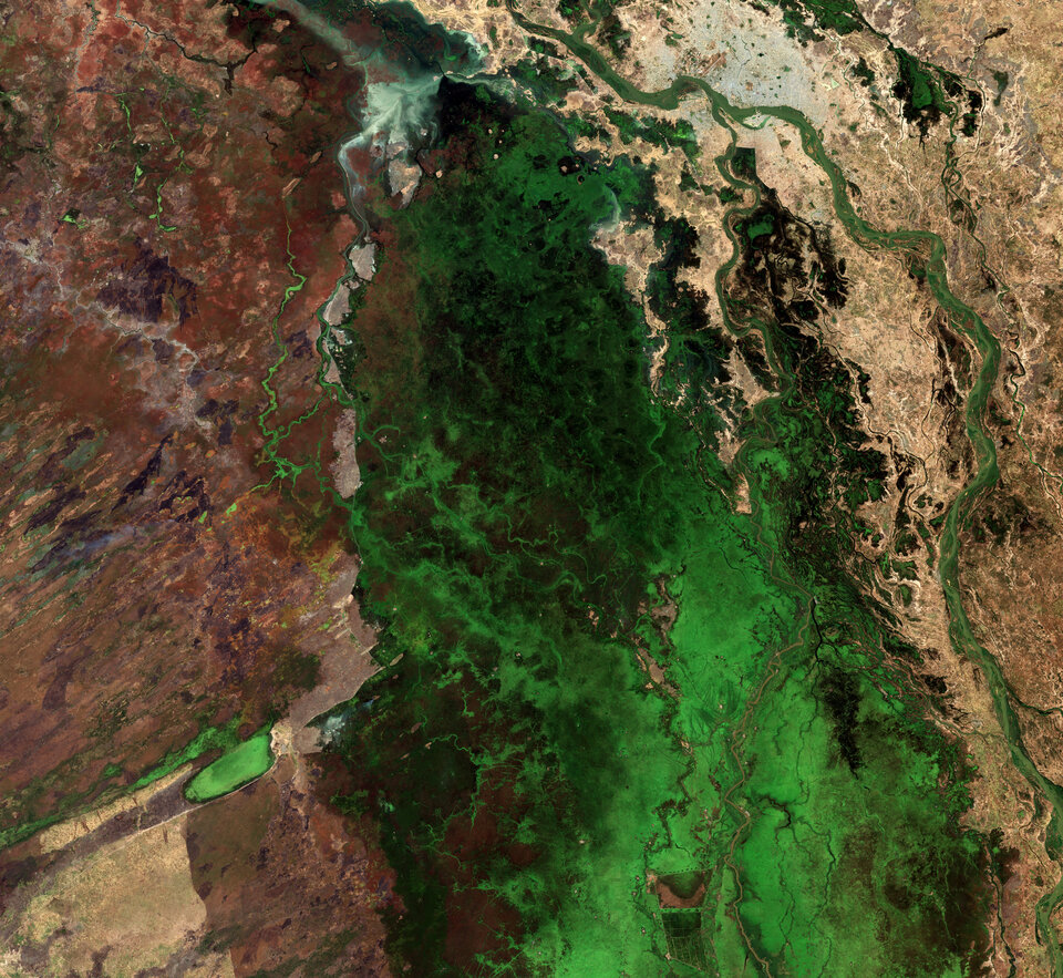 Parco Nazionale di Waza, Camerun