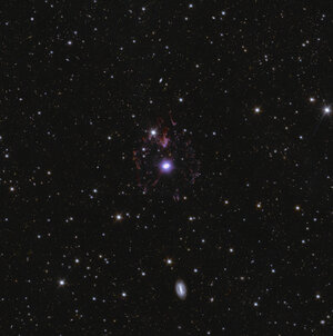 Euclid’s view of the Cat’s Eye Nebula