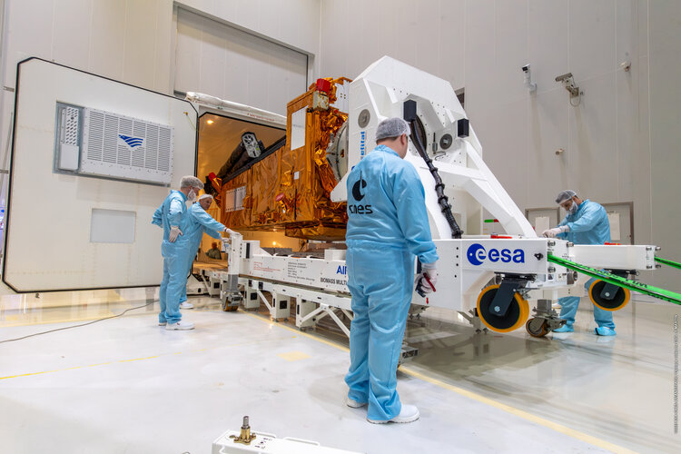 Removing Biomass from its container
