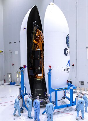 Sealing Biomass within the Vega-C fairing