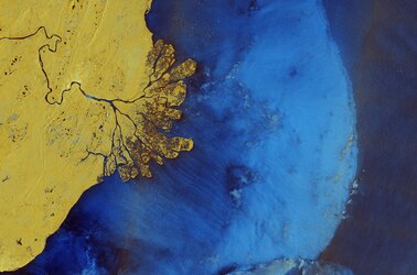 Copernicus Sentinel-1 captured this image over part of eastern Borneo, a tropical island in Southeast Asia.