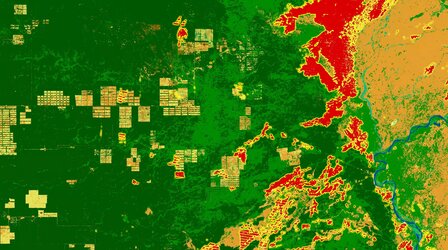 Fire driving deforestation