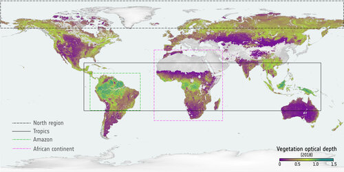 Global map of vegetation optical depth, 2018 