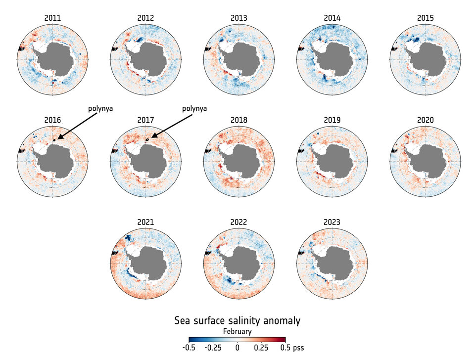 Sea-surface salinity around Antarctica
