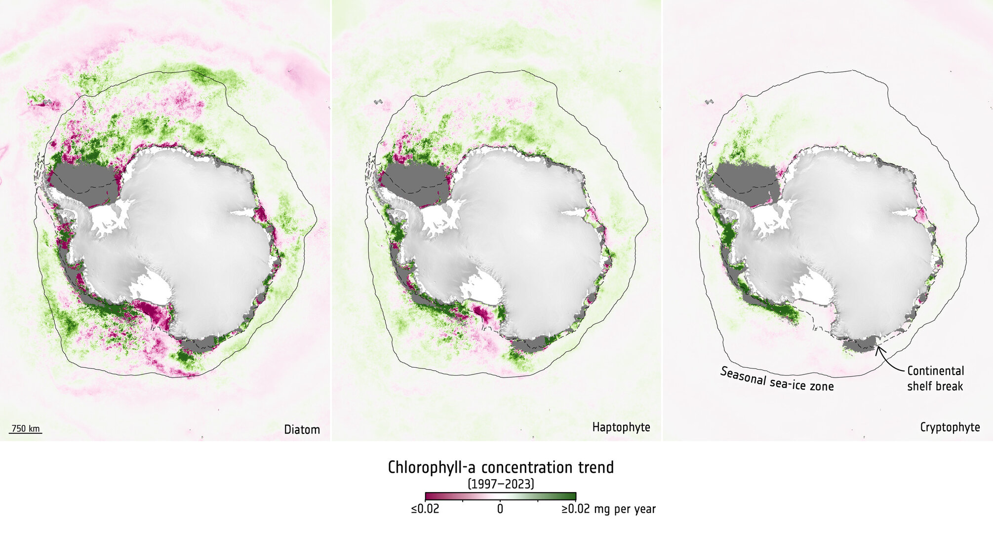 Chlorophyll-a concentration around the Antarctic