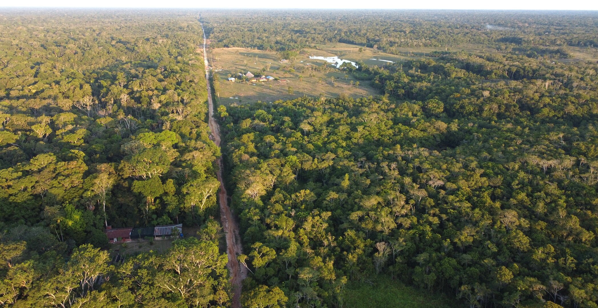 Small clearing in tropical forest