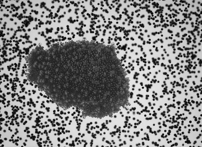 From pebbles to planets 