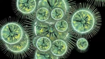 How satellites can help