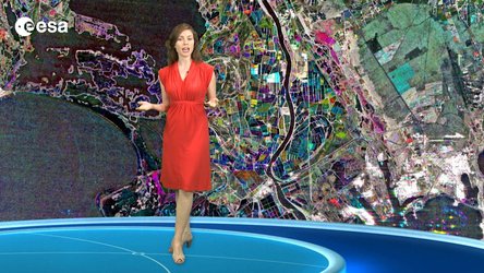 France’s Camargue delta region is pictured in this week’s image.