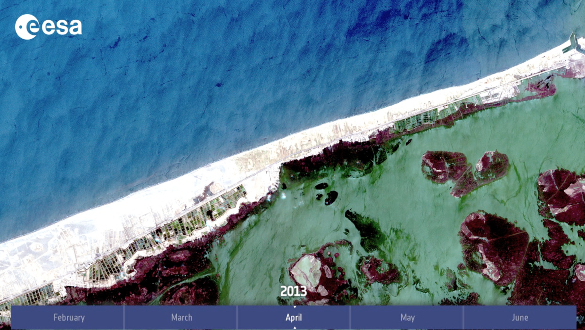 $video.data_map.short_description.content