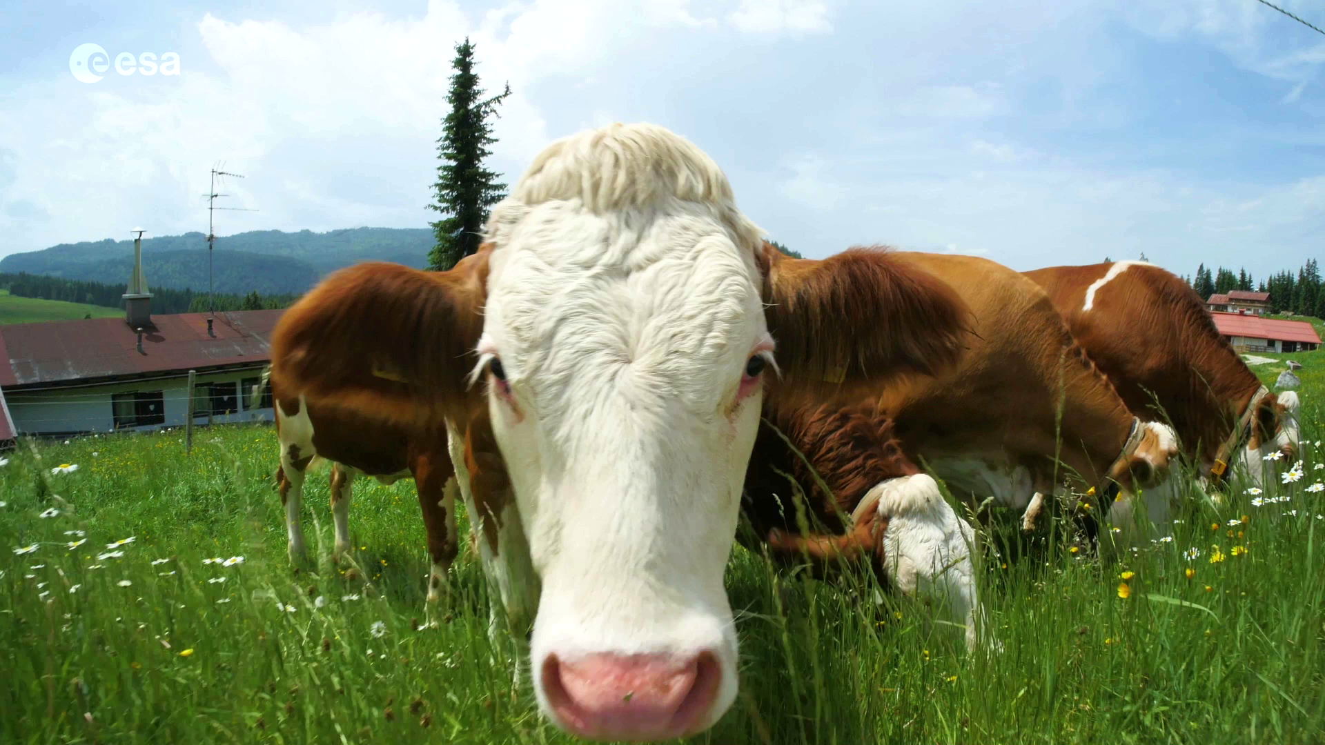 $video.data_map.short_description.content